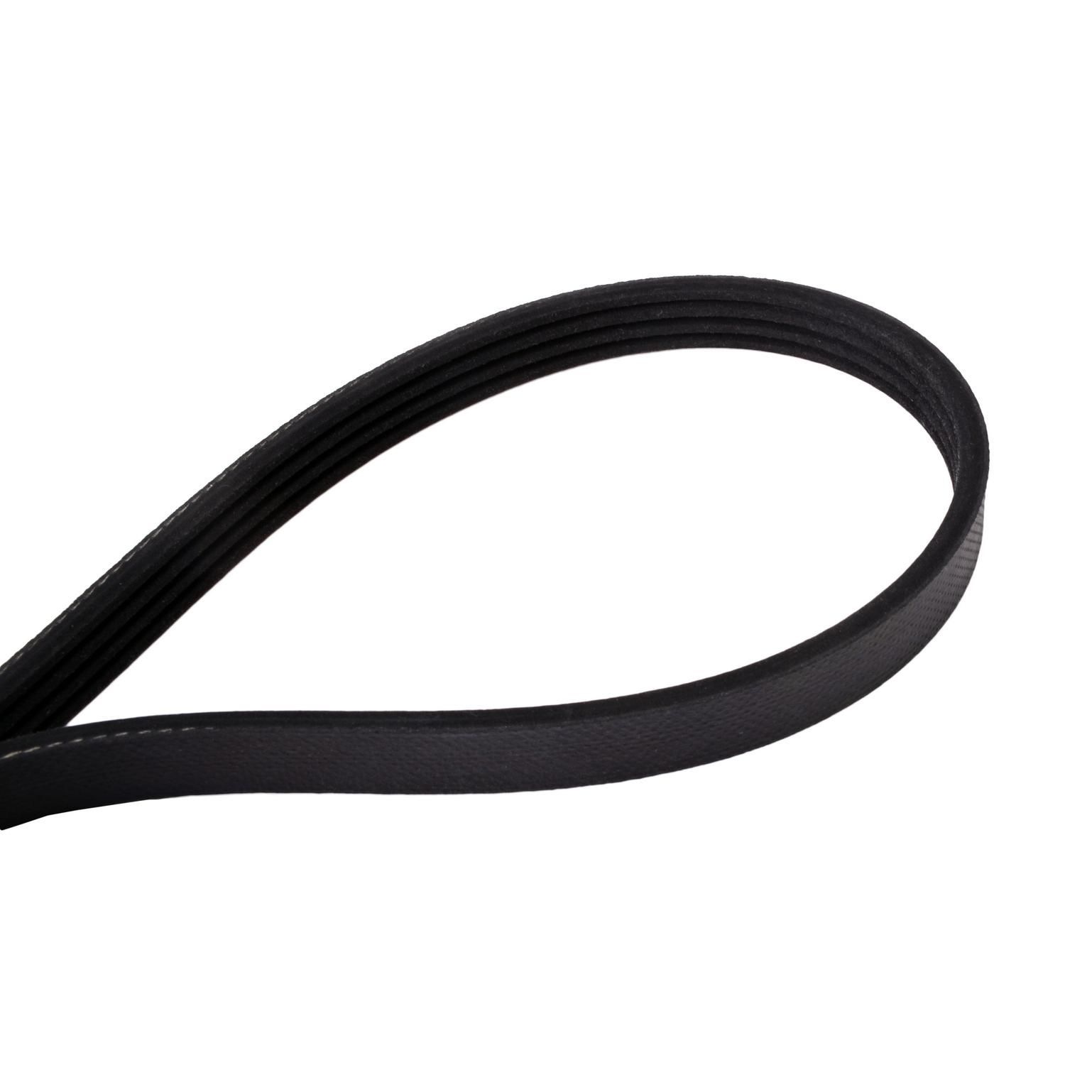 Continental Belt 4040420