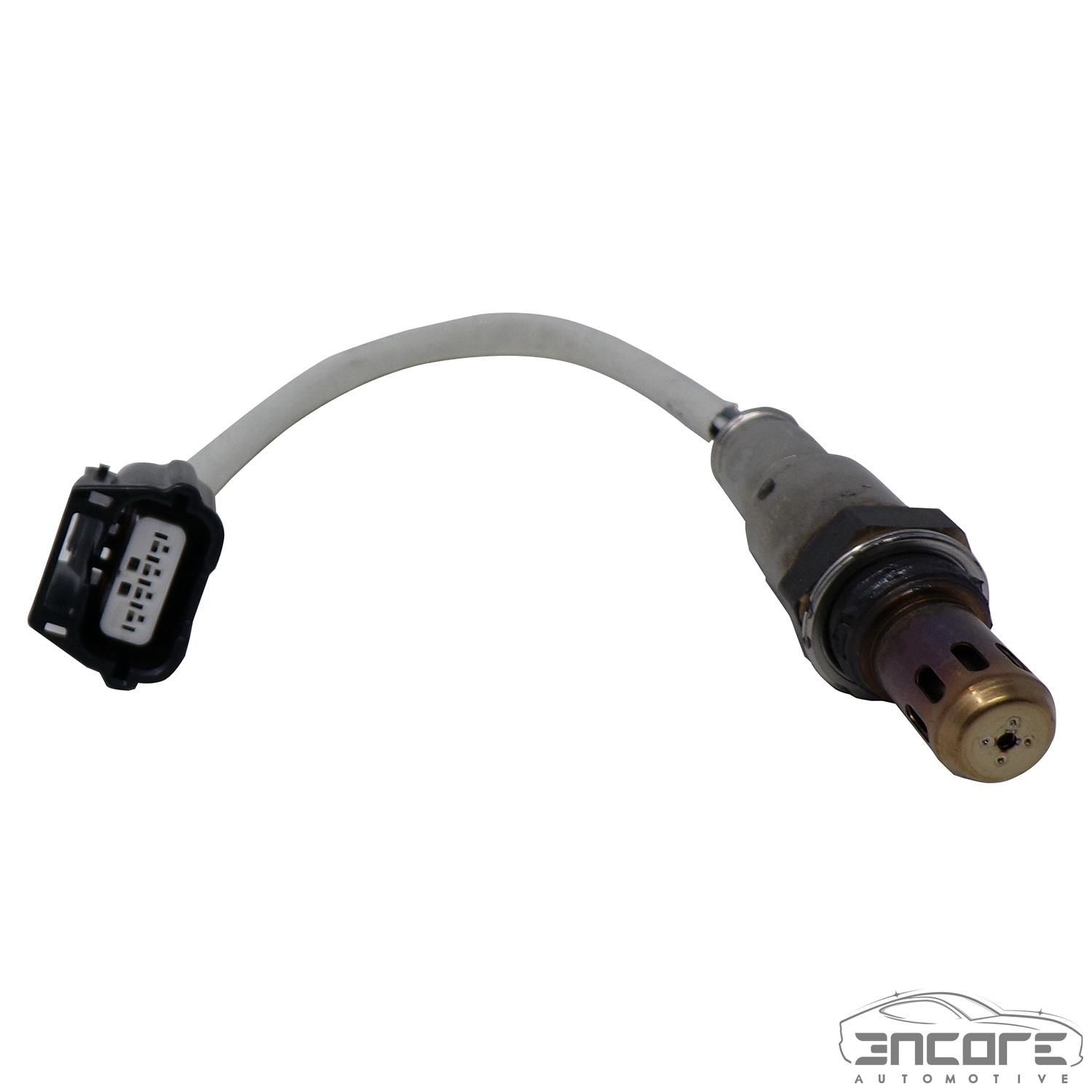 wear os oxygen sensor