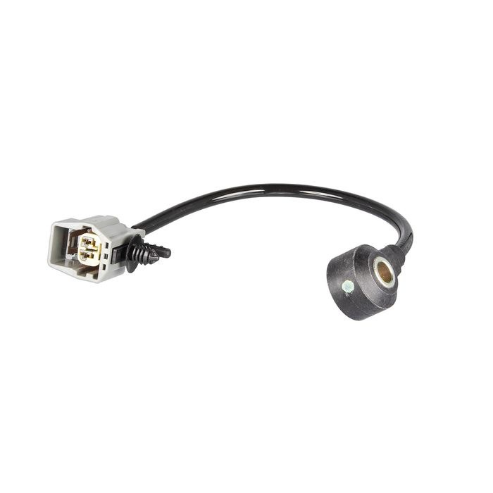 OUT 15ポンド プラグ済み　KNOCK