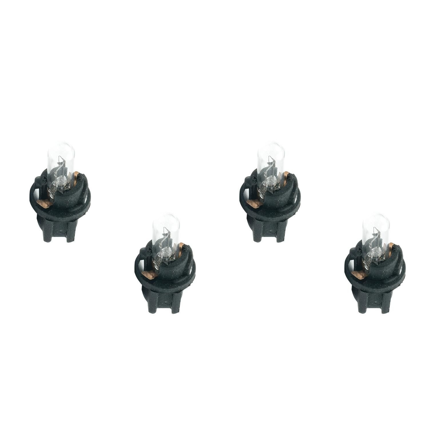 Equus Replacement Bulb Gauge Light