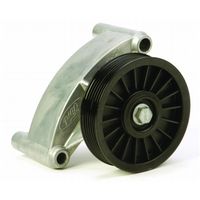 Ford Performance Parts Sec Air Injection Pump Idler/Pulley - AutoZone