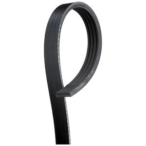Gates Micro-V Serpentine Belt K040539