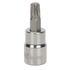 Duralast 3/8in Drive T-45 Torx Bit