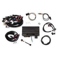 Holley EFI Fuel Tank Kit, 40 Ft With Return Line | Black, High-Performance Fuel System Kit