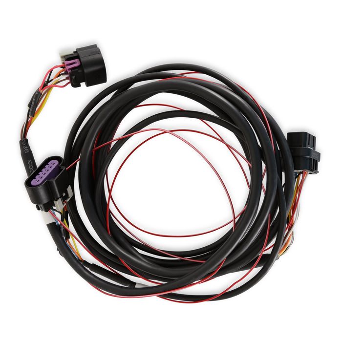 Holley Dominator EFI DBW Harness - Early Truck