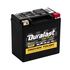 Duralast Gold Group BTX16L AGM Ready-to-Ride Power Sport Battery 325 CCA