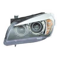 Keystone Collision Headlight Assembly BM2503180 for BMW X1