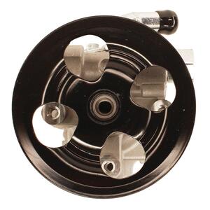 Lares Power Steering Pump 14648