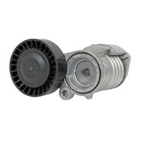Litens Belt Tensioner 999561A for Volvo S40