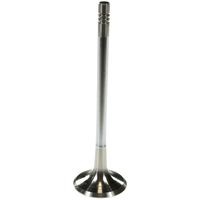 DNJ Engine Components Intake Valve - IV800 - O'Reilly Auto Parts