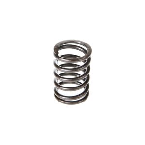 Melling Valve Spring VS-120