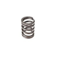 Melling Valve Spring VS-890 for Ford F150