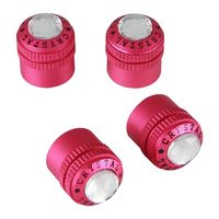 Pilot Crystal and Pink Valve Stem Caps