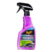 Dry Shine Foaming Tire Shine 18 oz. Car Detailing (2-Pack) DS-FTS2