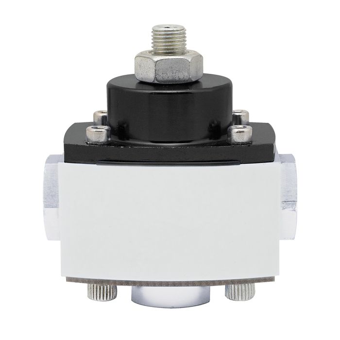 Adjustable Fuel Pressure Regulator w/ Gauge - E36