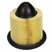 Motorcraft Air Filter FA-1632 for 2001 Ford F150