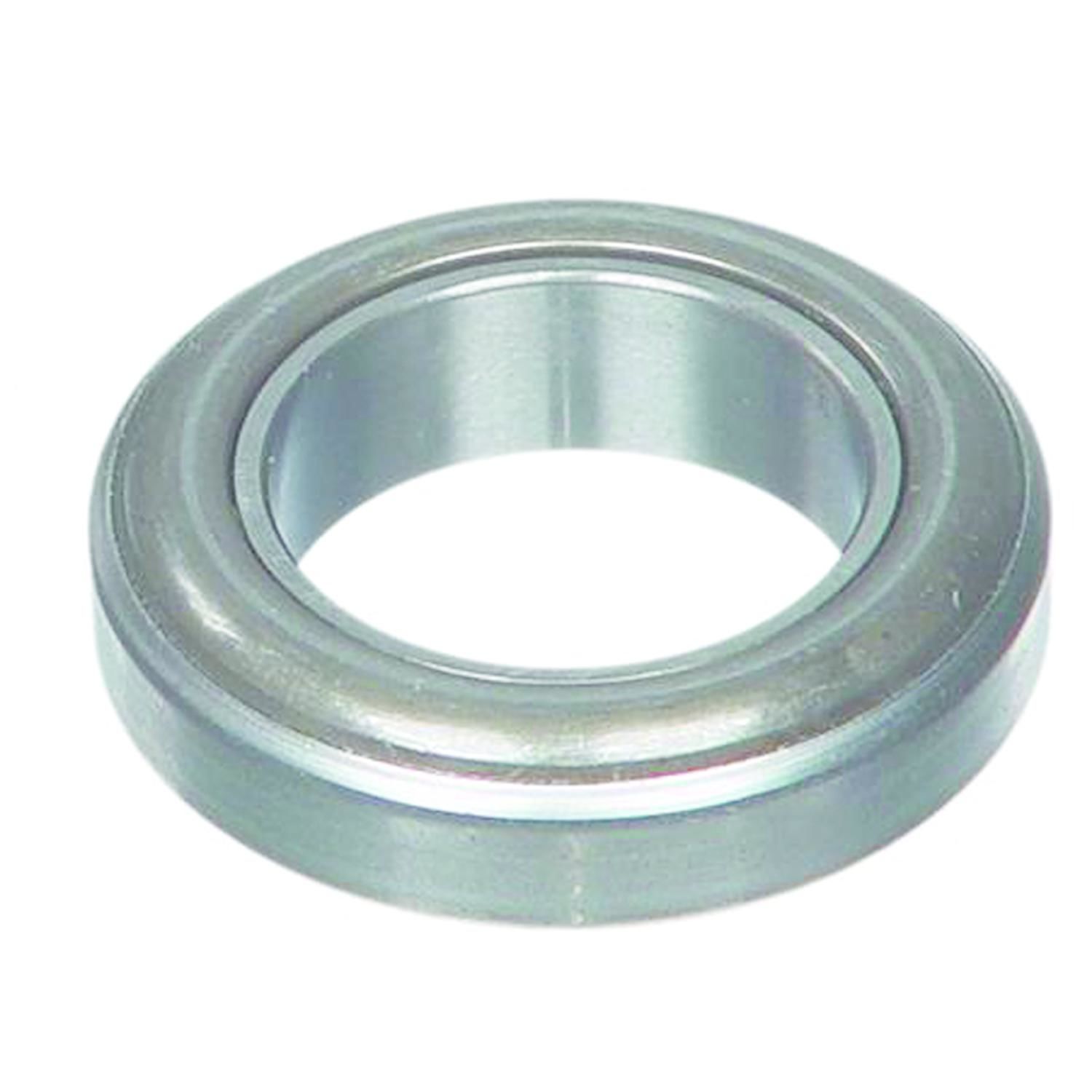 Brute Power Bearing 613001