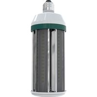 GM Genuine Parts Multi-Purpose Light Bulb