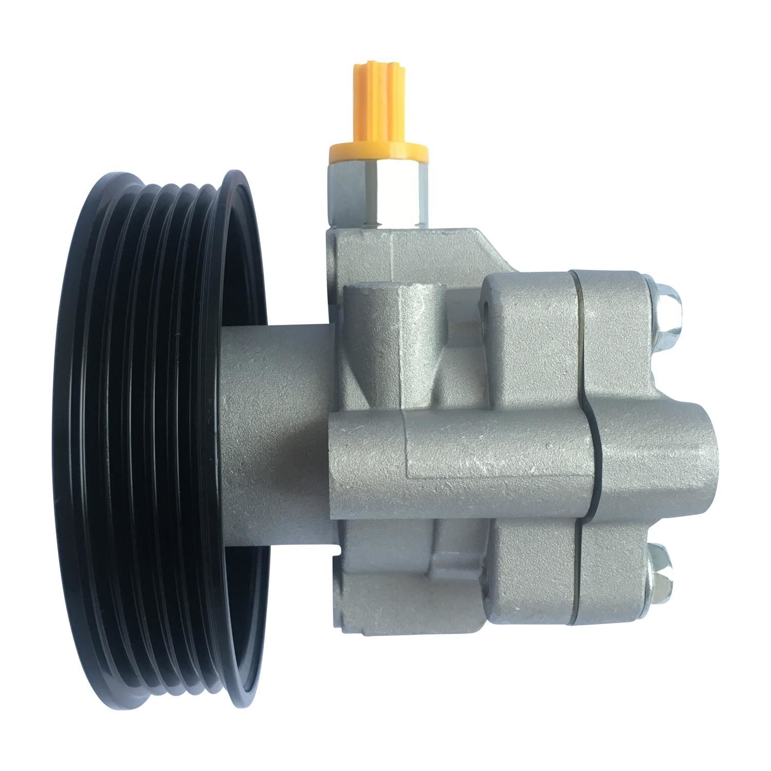 Edelman Power Steering Pump 6028P