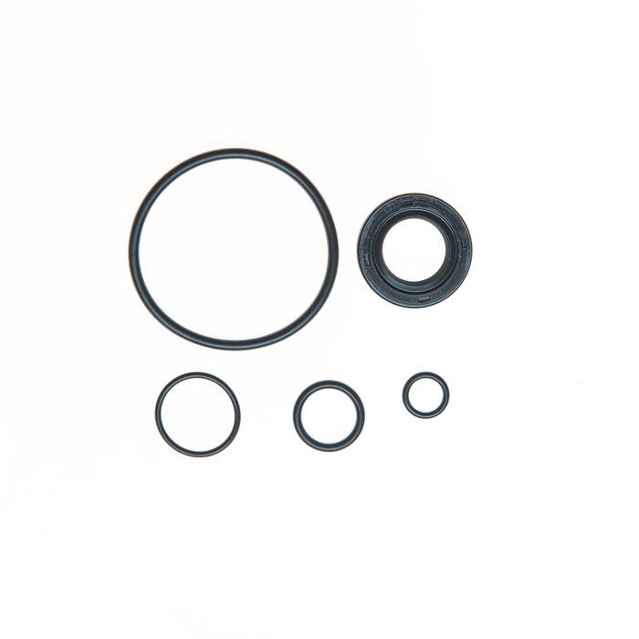 Power Steering Pump Seal Kit Dodge, Hyundai, Mitsubishi