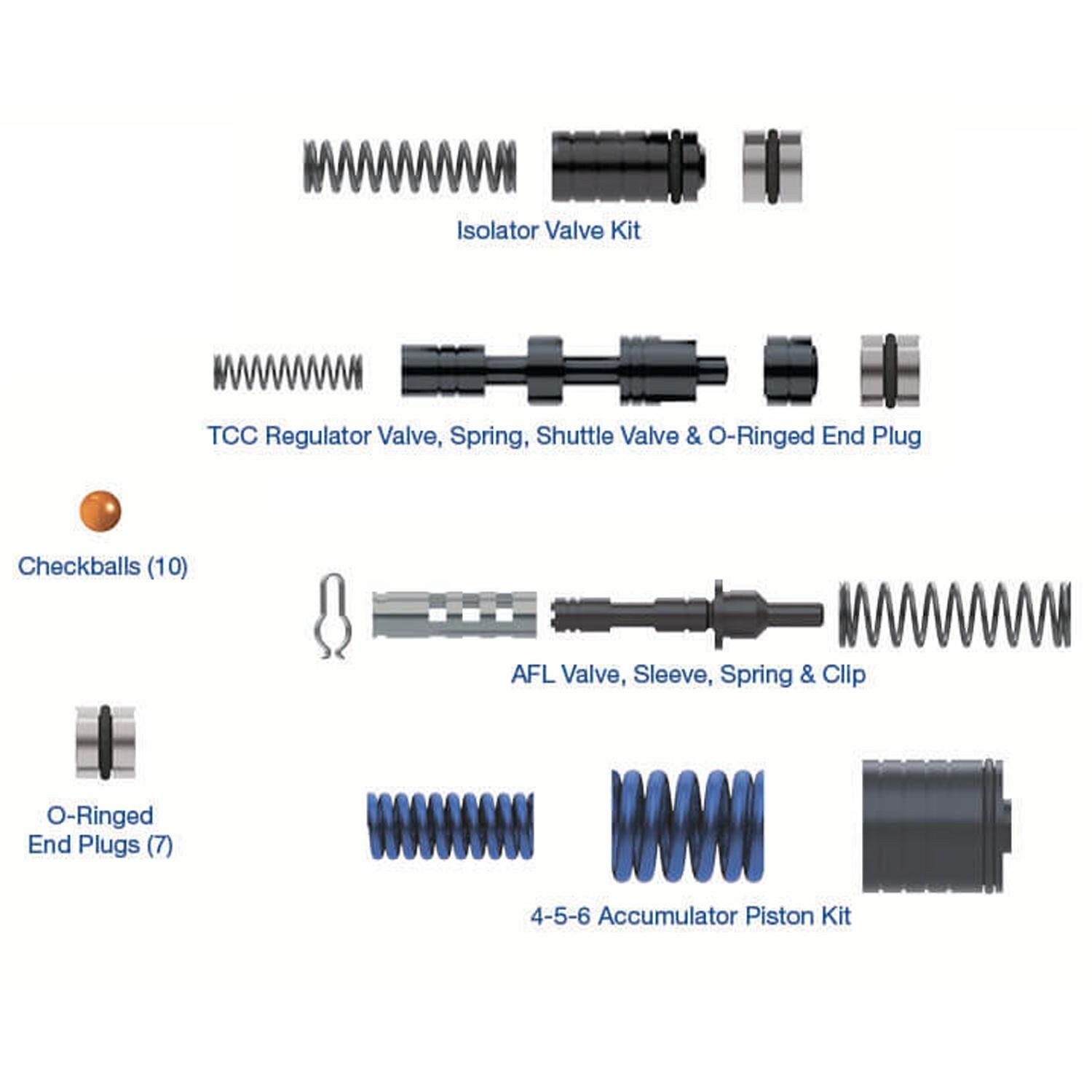 Rostra Valve Body Overhaul Kits 559009