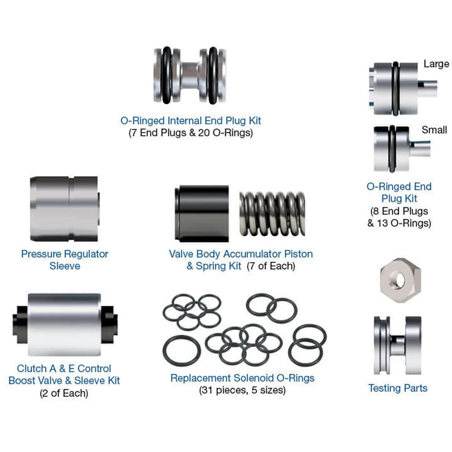 Rostra Valve Body Overhaul Kits 559022