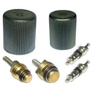 Jeep Compass A/C System Valve Core and Cap Kit - Best A/C System Valve Core  and Cap Kit for Jeep Compass