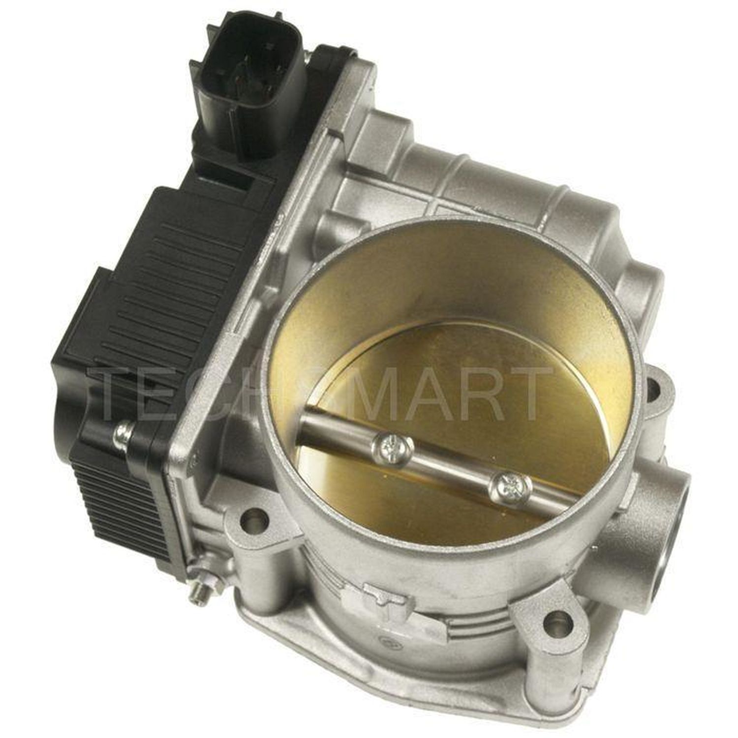 TechSmart Fuel Injection Throttle Body S20058