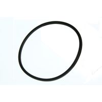 URO O-Ring URO-012549