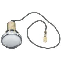 tag lights autozone