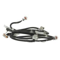 Buick Regal Wiring Harnes