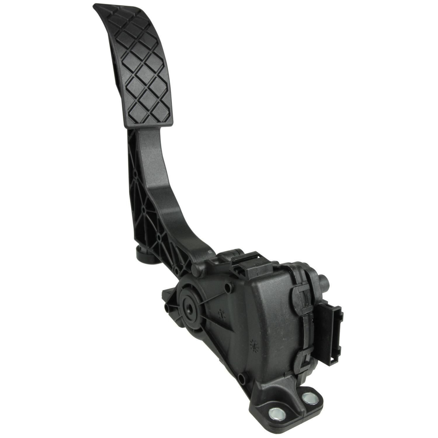 ドテラ　サルベル　パステンタス パステンタス | doTERRA Essential Oils