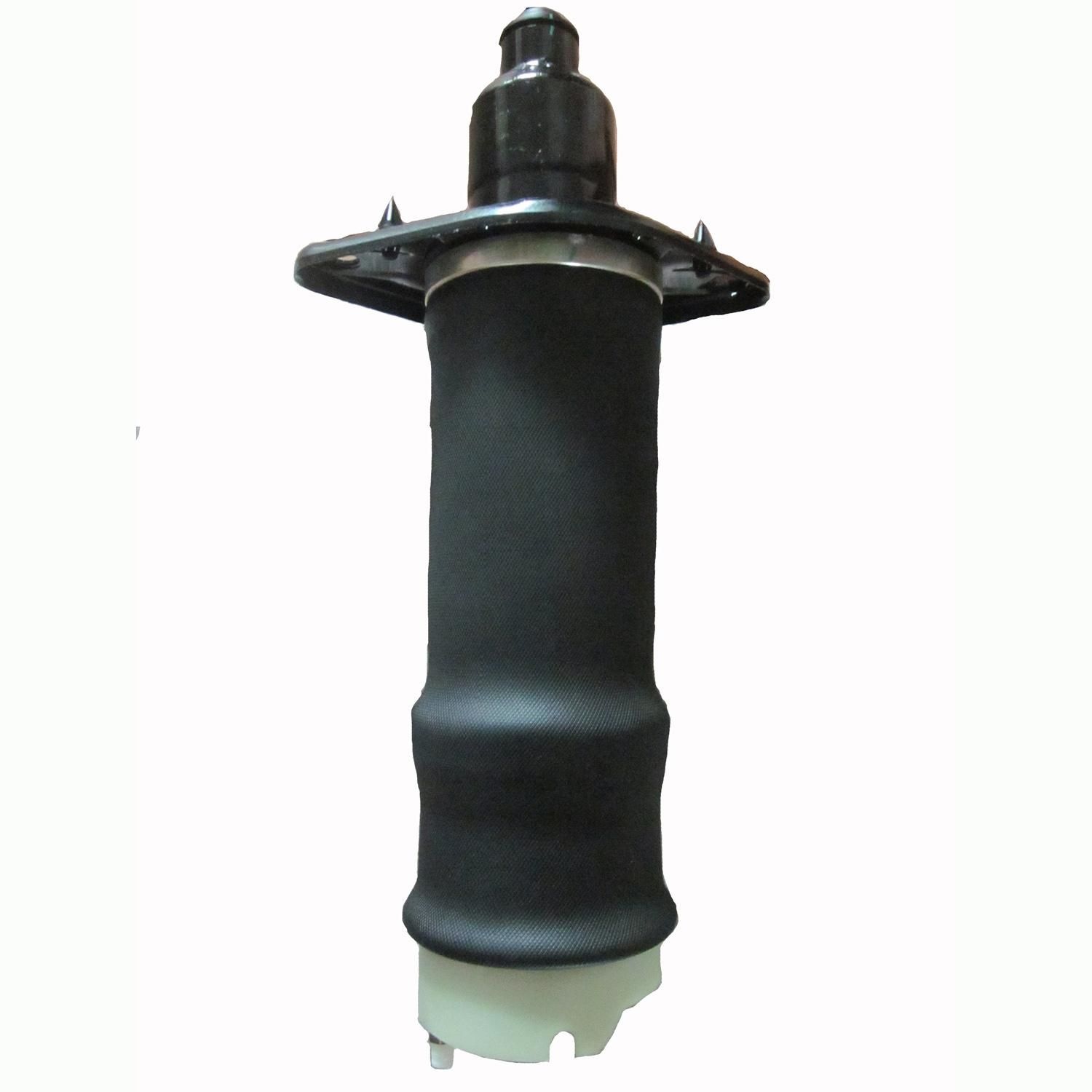 Westar Suspension Air Strut/Shocks AS7071