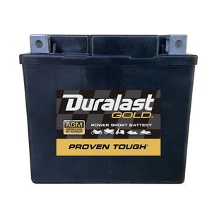 Black & Decker 12V 210 CCA Absorbent Glass Mat Replacement Battery, Fits  Cub Cadet and Troy-Bilt at Tractor Supply Co.