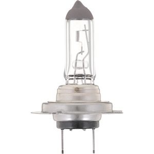 Foco Philips Standard H7B1 for Audi Q5
